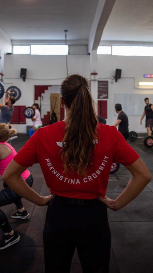 bdac160e-66b9-484e-9449-dcb8fe7e9ac8